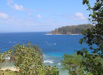 vanuatu/ambrym/attraction/pentecost