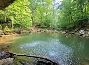 illinois/ferne-clyffe-state-park/attraction/bork-falls