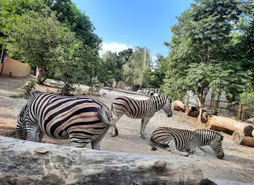 Zoo of Chisinau