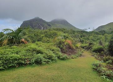 seychelles/anse-boudin/attraction/mare-aux-cochons