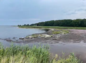 Vornæs havn