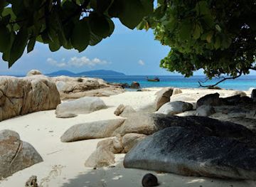 malaysia/terengganu/attraction/lang-tengah-turtle-watch