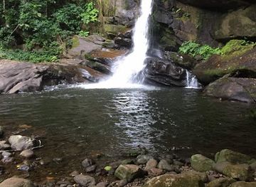 tanzania/ruaha-region/attraction/udzungwa-national-park-headquarters