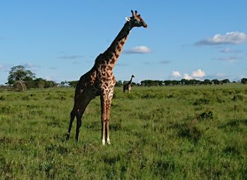 tanzania/ngorongoro-conservation-area/attraction/serengeti-main-gate