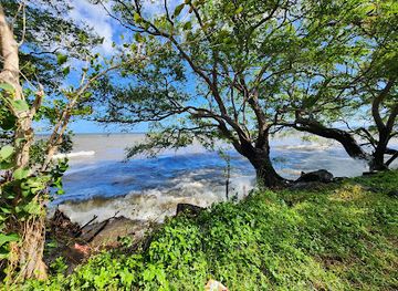 nicaragua/granada-plains/attraction/costa-lago-de-granada-cerca-del-guayabo