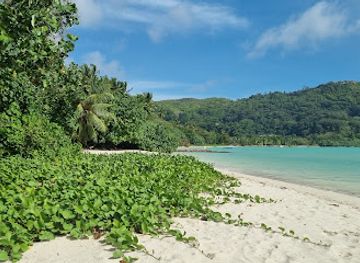 seychelles/ile-platte/attraction/anse-a-la-mouche