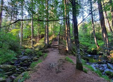 germany/black-forest/attraction/ravenna-gorge