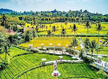 indonesia/borobudur/attraction/parkir-resmi-svargabumi