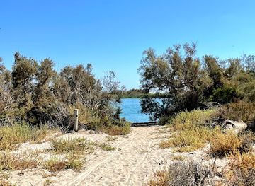 spain/cabo-de-gata/attraction/albufera-de-rambla-de-morales