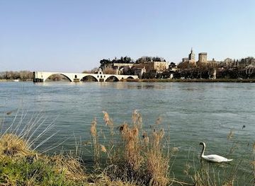 france/nimes/attraction/ile-de-la-barthelasse