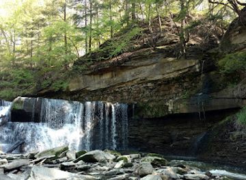 ohio/cuyahoga-valley-national-park/attraction/brecksville-reservation