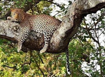 kenya/turkana-basin/attraction/kenya-bush-expeditions-tour-and-travel