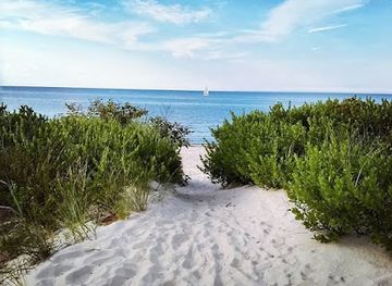 delaware/cape-henlopen-state-park/attraction/savannah-beach