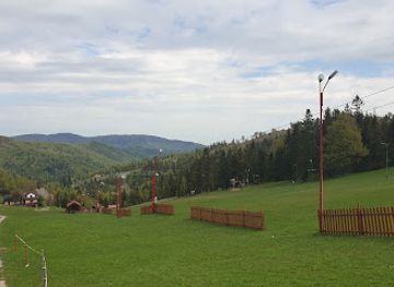 poland/silesian-beskids/attraction/jaskinia-salmopolska