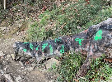 spain/bilbao/deusto/attraction/bosque-magico-de-ugasko