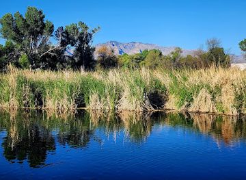 arizona/tucson/attraction/sweetwater-wetlands-park