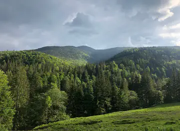 Narinetskyy Falls