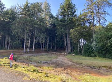 kenya/aberdare-national-park/attraction/forest-guard-house