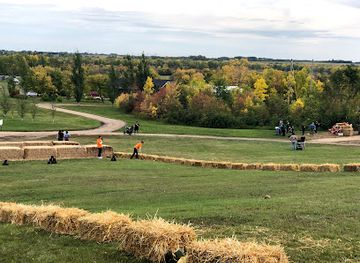 canada/prairies/attraction/black-fox-farm-and-distillery-premium-gin-whisky