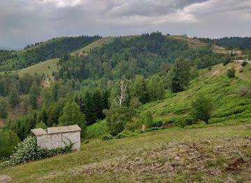 romania/valcea/attraction/lone-man-s-rock