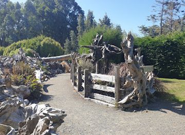 new-zealand/invercargill/attraction/stumpery