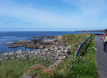 ireland/county-clare/attraction/clahane-shore-area