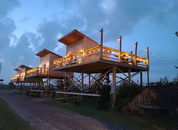 oklahoma/frontier-country/attraction/tiger-safari-zoological-park