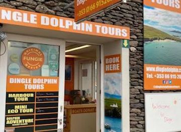 ireland/dingle/attraction/dingle-dolphin-boat-tours