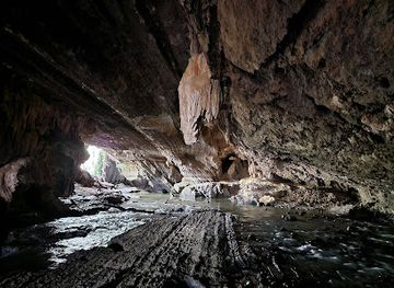 australia/tasmania/attraction/honeycomb-cave