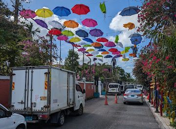 the-bahamas/andros-island/attraction/umbrella-lane
