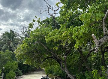 maldives/thinadhoo-island/attraction/sky-beach