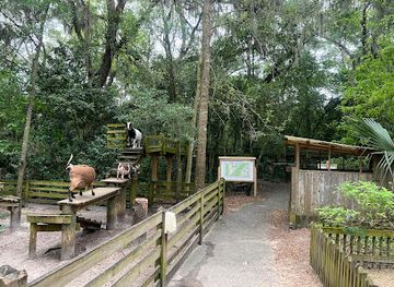 florida/jacksonville/attraction/tree-hill-nature-center