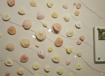 thailand/bangkok/attraction/bangkok-seashell-museum