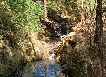 Frank Liske Park