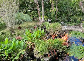 saint-kitts-and-nevis/basseterre/attraction/botanical-gardens-of-nevis
