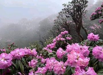 vietnam/sapa/attraction/nam-cang