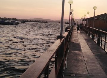 peru/paracas-national-reserve/attraction/aranwa-pier