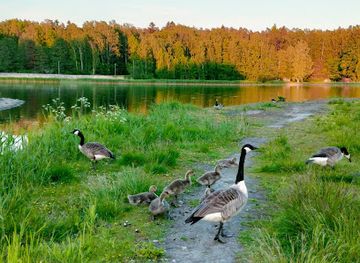 finland/helsinki-archipelago/attraction/pantai-hietaranta