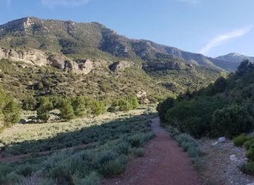 nevada/red-rock-canyon-national-conservation-area/attraction/spring-mountains-visitor-gateway