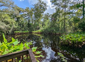 florida/big-cypress-national-preserve/attraction/big-cypress-bend-boardwalk