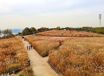 south-korea/incheon/attraction/haneul-park