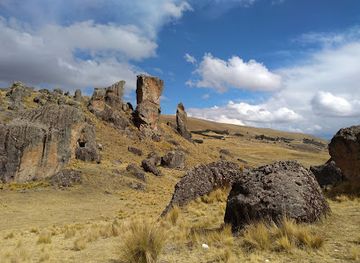 peru/ica/attraction/bosque-de-piedra-de-sachapite