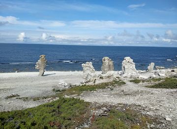 sweden/gotaland/attraction/langhammarsgubben-raukar