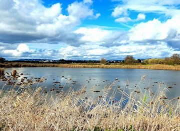 portugal/ria-formosa-natural-park/attraction/parque-ambiental-de-vilamoura