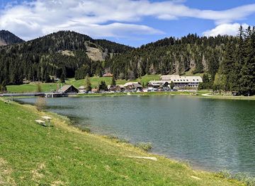 austria/styria/attraction/riesen-almochse-beim-teichalmsee-wahrzeichen-des-naturparks-almenland