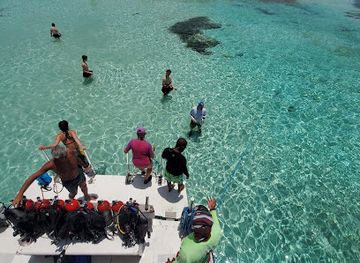 belize/southern-belize-barrier-reef/attraction/seahorse-dive-shop