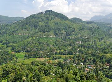 sri-lanka/uva-province/attraction/uva-halpewatte-tea-factory-tour