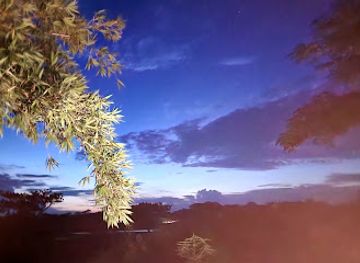 bangladesh/greater-barisal/attraction/taltoli-bridge