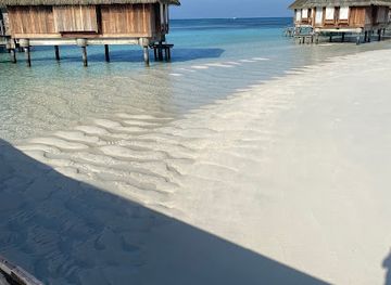 maldives/male-atoll/attraction/lankan-finolhu-manta-point