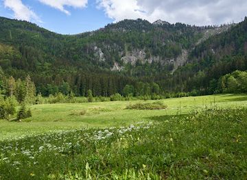 austria/mostviertel/attraction/hochmoor-leckermoor